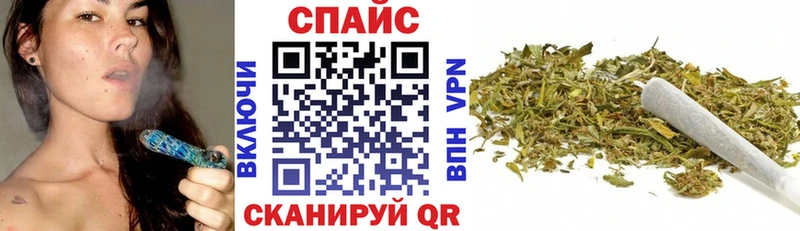 Купить  Верея  Бутират Butirat 