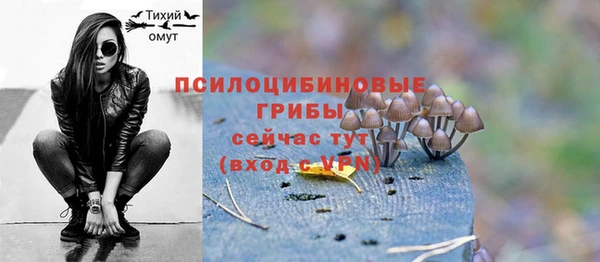 ALPHA PVP Козельск