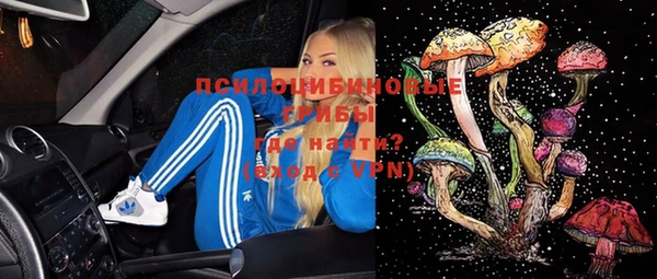 спайс Кодинск