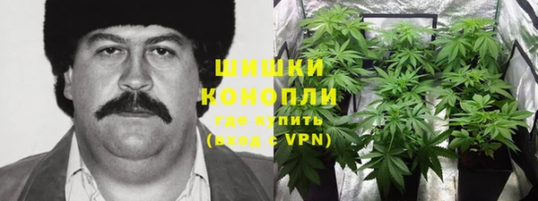 ALPHA PVP Козельск