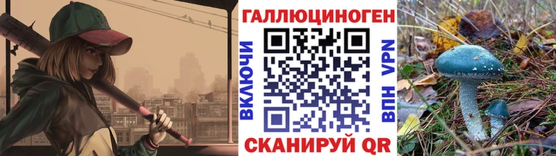 Псилоцибиновые грибы GOLDEN TEACHER  Купить закладки  Верея 